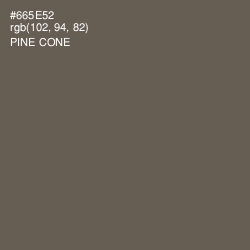 #665E52 - Pine Cone Color Image